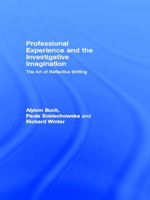 Cover image for book Professional Experience and the Investigative Imagination