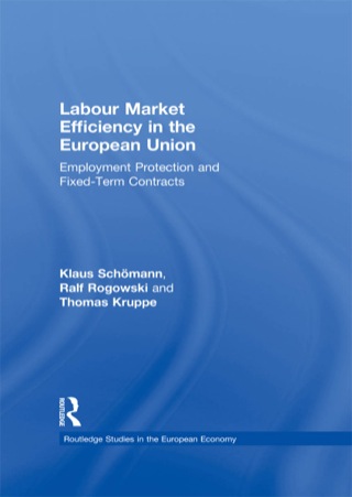 Labour Market Efficiency in the European Union