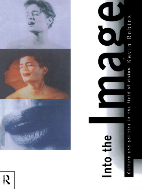 Cover image for book Into the Image