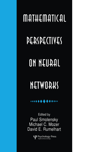 Mathematical Perspectives on Neural Networks