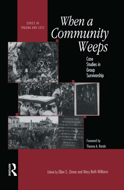 Cover image for book When A Community Weeps