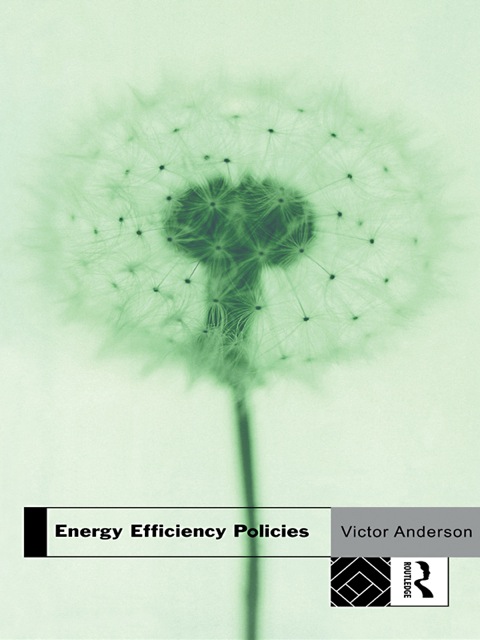 Cover image for book Energy Efficiency Policies