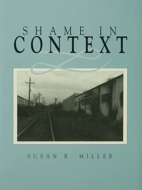 Cover image for book Shame in Context