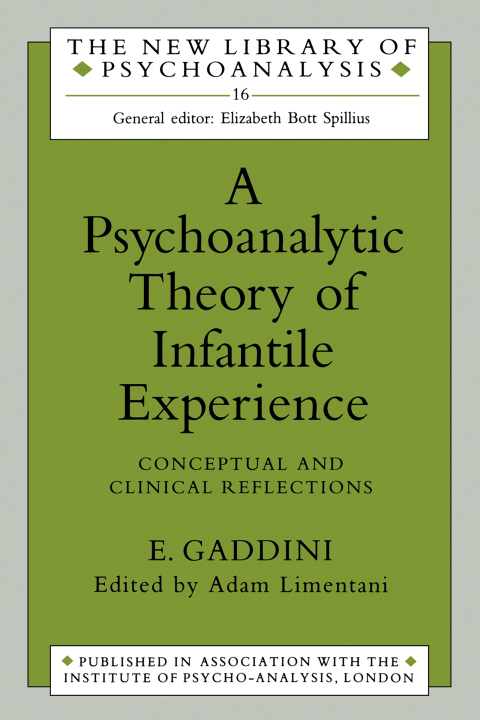 Cover image for book A Psychoanalytic Theory of Infantile Experience
