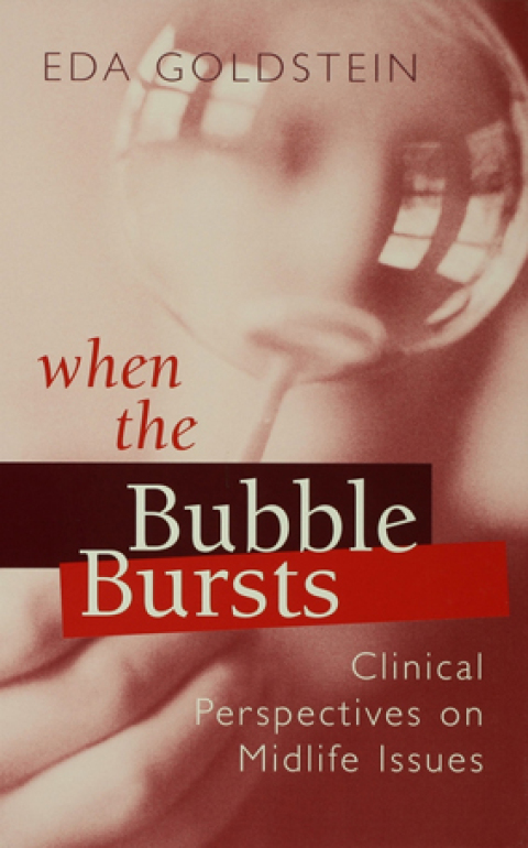 Cover image for book When the Bubble Bursts