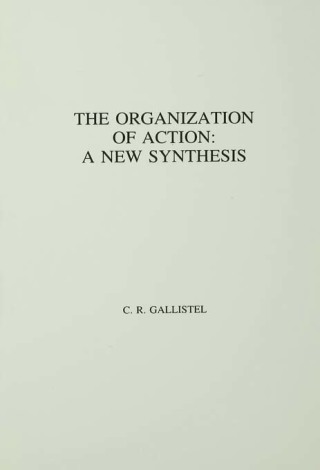 The Organization of Action