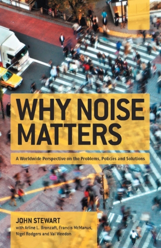 Why Noise Matters