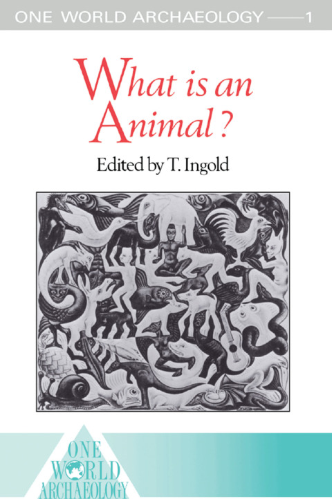 Cover image for book What is an Animal?