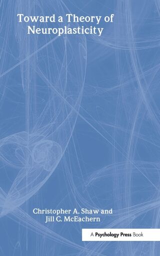 Toward a Theory of Neuroplasticity