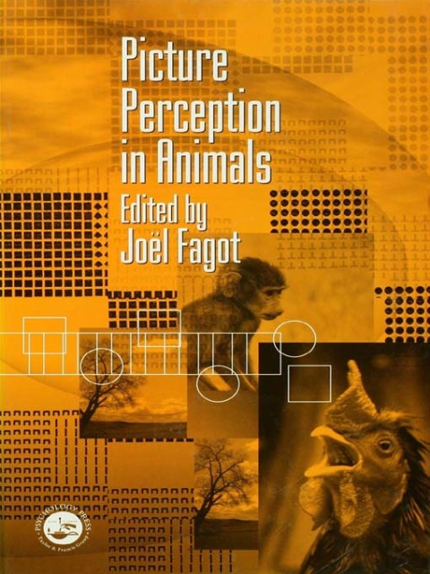 Cover image for book Picture Perception in Animals