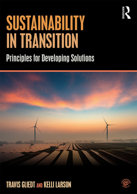 Cover image for book Sustainability in Transition