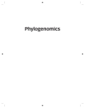 Phylogenomics: A Primer - Rob DeSalle, Jeffrey A. Rosenfeld