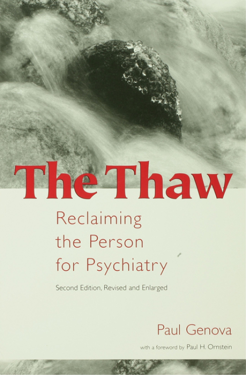 Cover image for book The Thaw