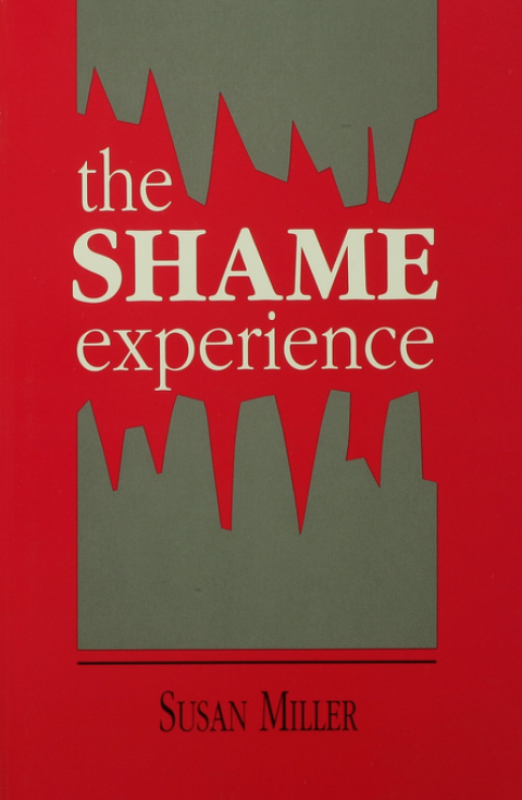 Cover image for book The Shame Experience