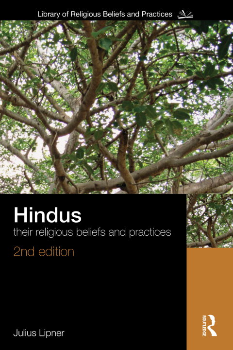 Cover image for book Hindus