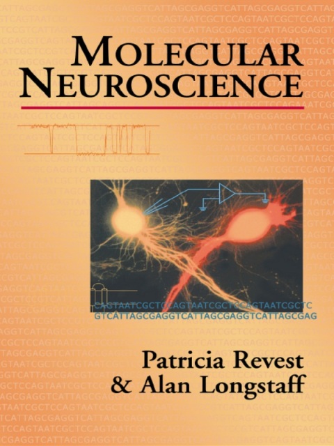Cover image for book Molecular Neuroscience