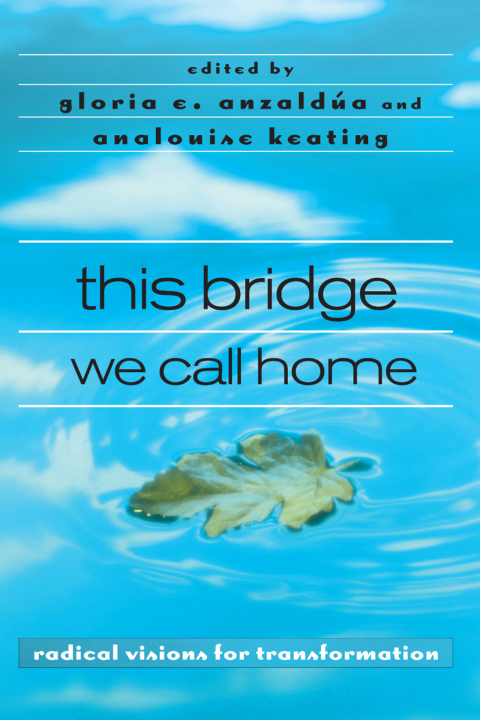 Cover image for book this bridge we call home