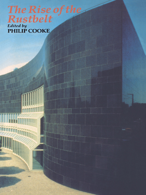 Cover image for book The Rise Of The Rustbelt