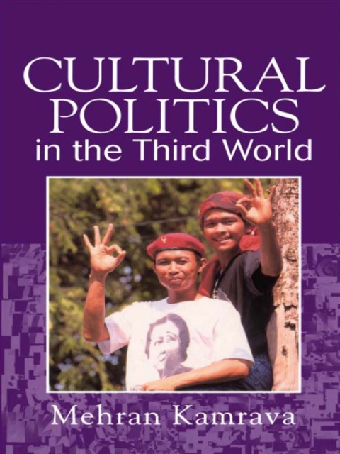 Cover image for book Cultural Politics in the Third World