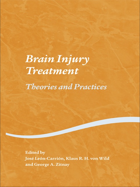 Cover image for book Brain Injury Treatment