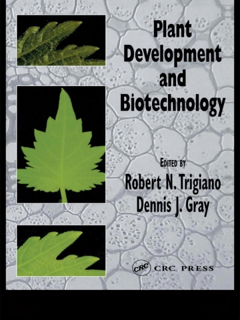 Cover image for book Plant Development and Biotechnology