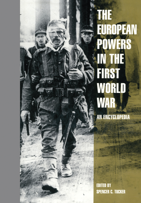 Cover image for book The European Powers in the First World War
