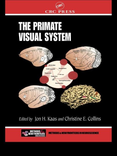 Cover image for book The Primate Visual System