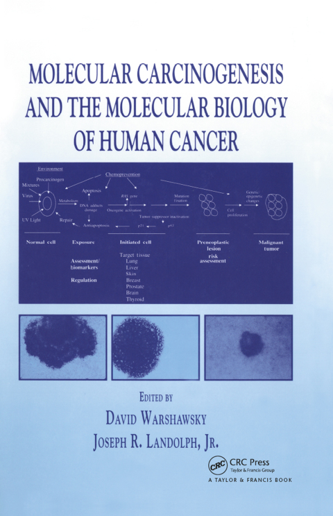 Cover image for book Molecular Carcinogenesis and the Molecular Biology of Human Cancer