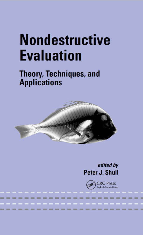 Cover image for book Nondestructive Evaluation