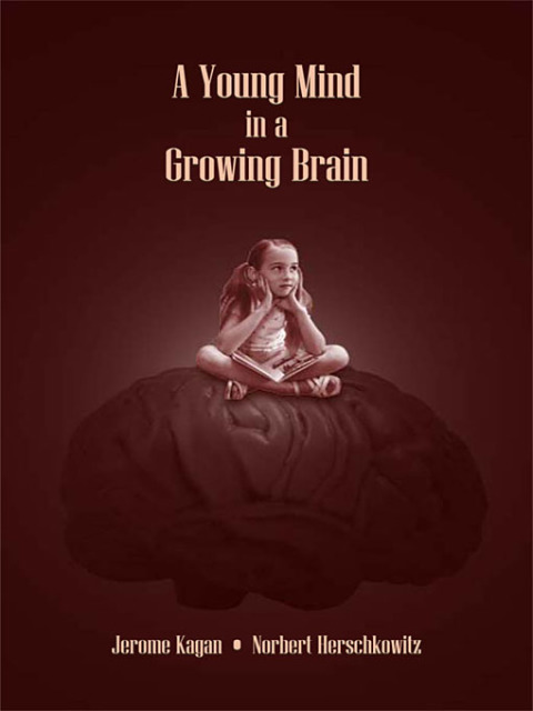 A Young Mind in a Growing Brain 