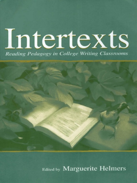 Cover image for book Intertexts