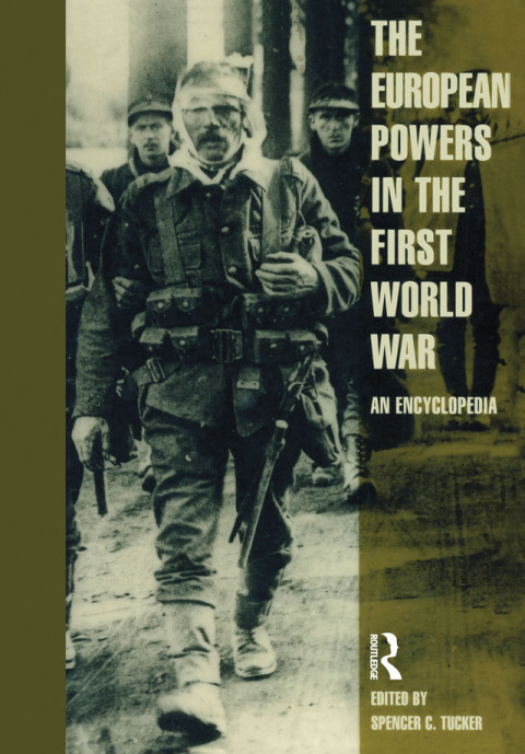 Cover image for book European Powers in the First World War