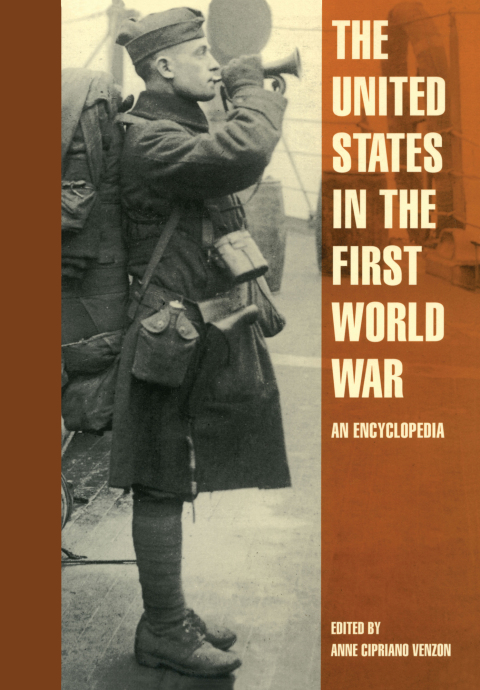 Cover image for book The United States in the First World War