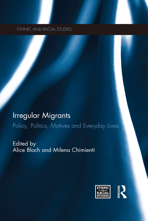 Cover image for book Irregular Migrants