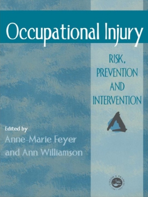 Cover image for book Occupational Injury