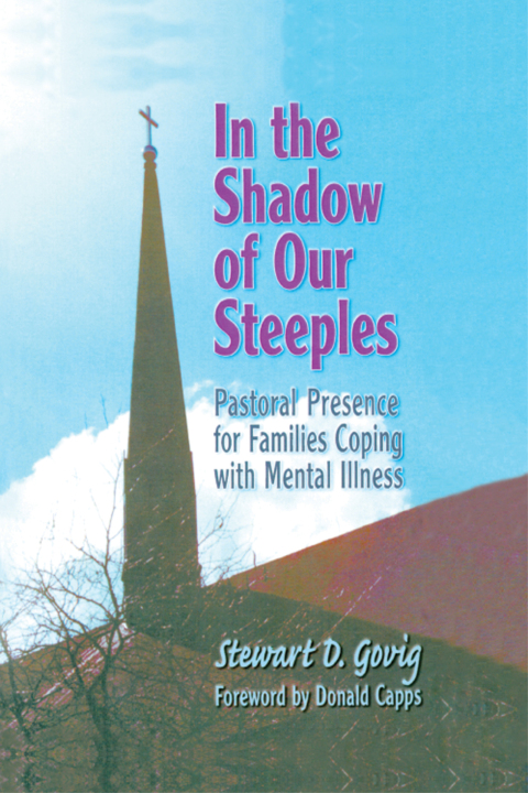 Cover image for book In the Shadow of Our Steeples
