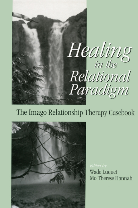 Cover image for book Healing in the Relational Paradigm