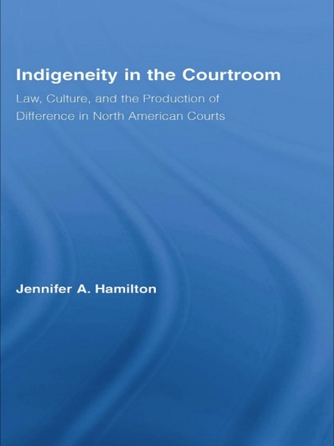 Cover image for book Indigeneity in the Courtroom