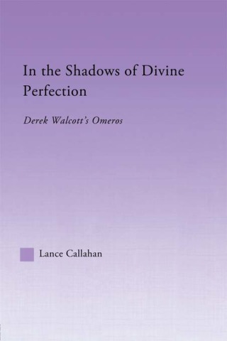 In the Shadows of Divine Perfection