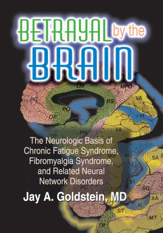 The Neural Basis of Early Vision - ritograk.fo