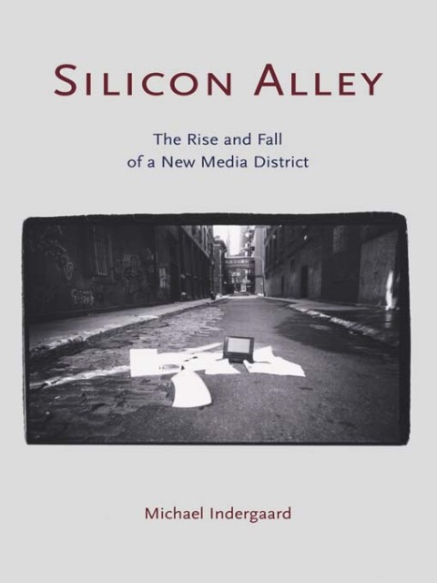 Cover image for book Silicon Alley