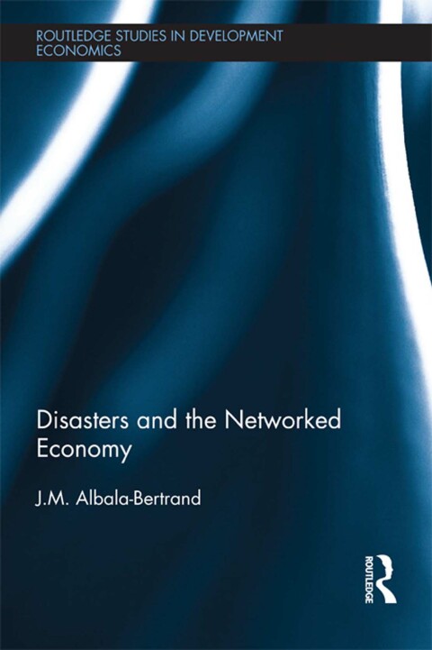Cover image for book Disasters and the Networked Economy