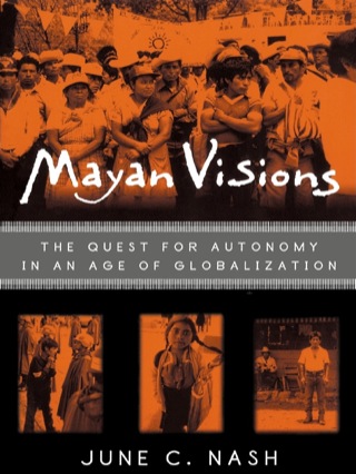 Mayan Visions