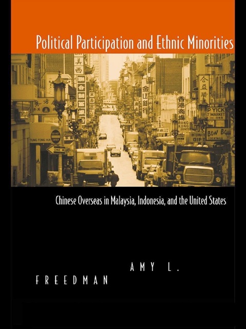 Cover image for book Political Participation and Ethnic Minorities