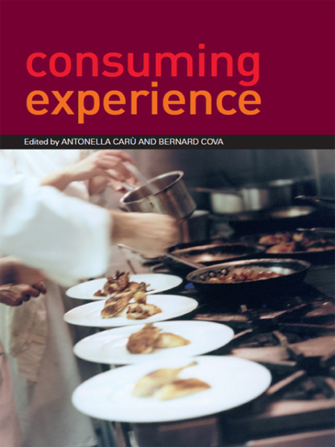 Cover image for book Consuming Experience