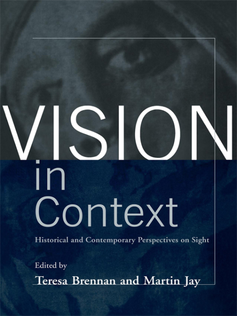 Cover image for book Vision in Context