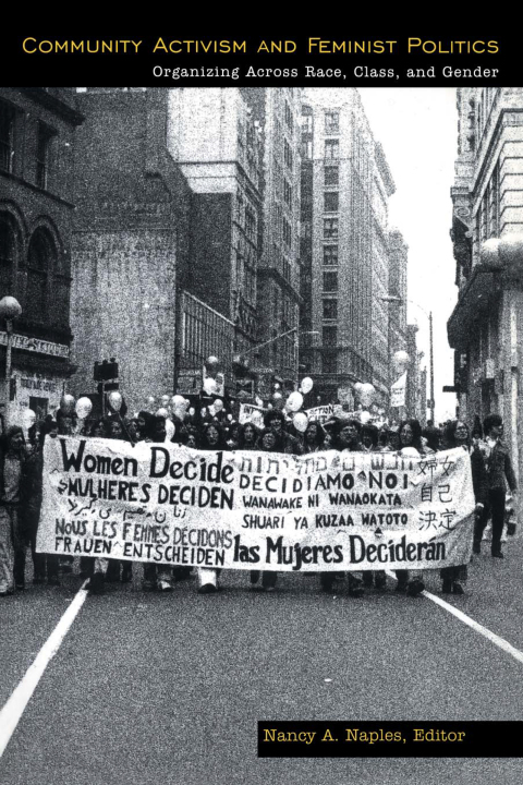 Cover image for book Community Activism and Feminist Politics
