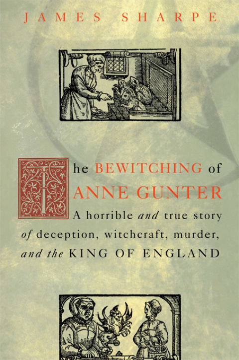 Cover image for book The Bewitching of Anne Gunter