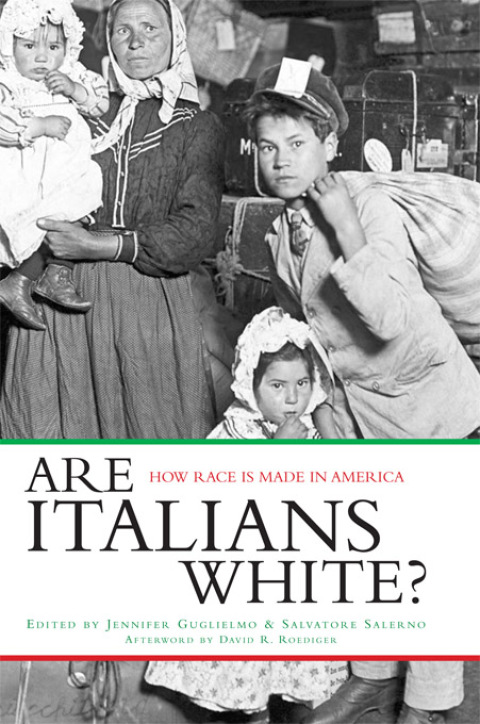 Cover image for book Are Italians White?