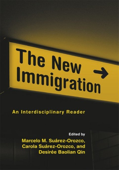 Cover image for book The New Immigration